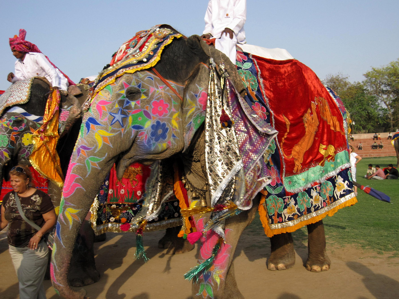 painted elephant at Jaipur elephant festival