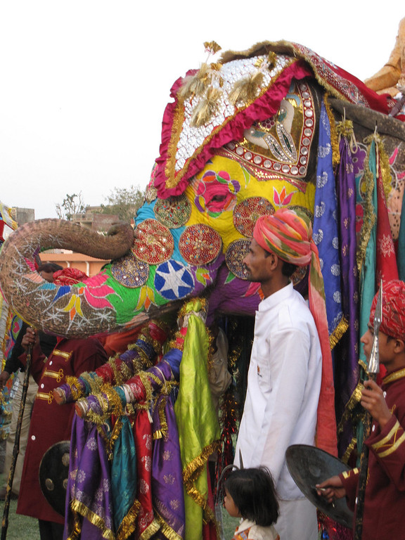 holi elephants jaipur
