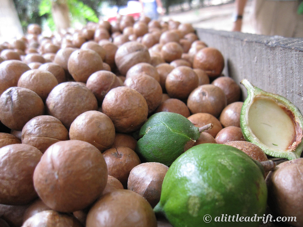 Valhalla Macadamia Nut Farm