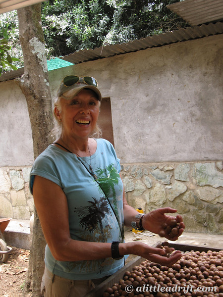 Emily, owner Valhalla Macadamia Nut Farm
