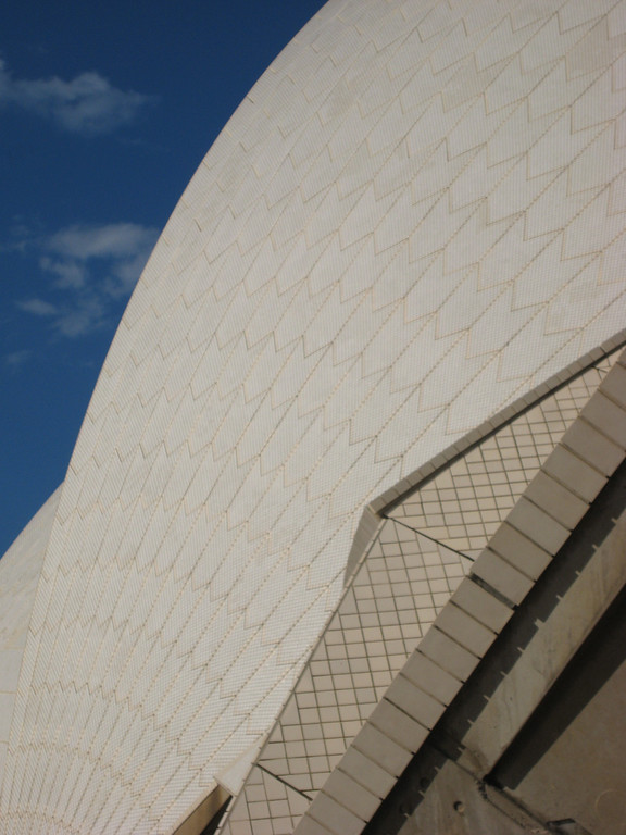 beautiful curves on the opera house