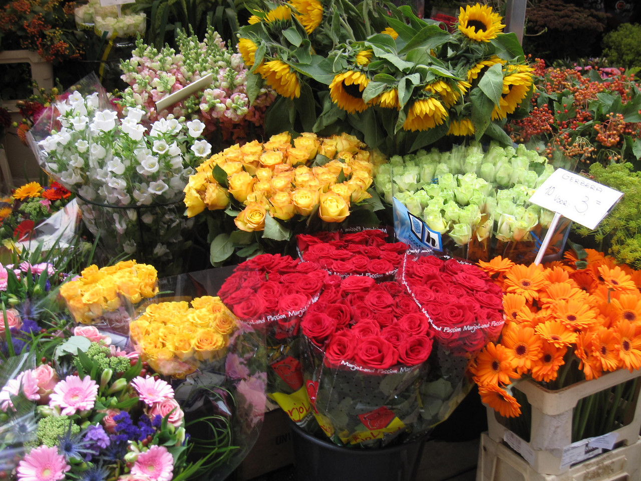 pick up a travel guide and explore the markets in amsterdam