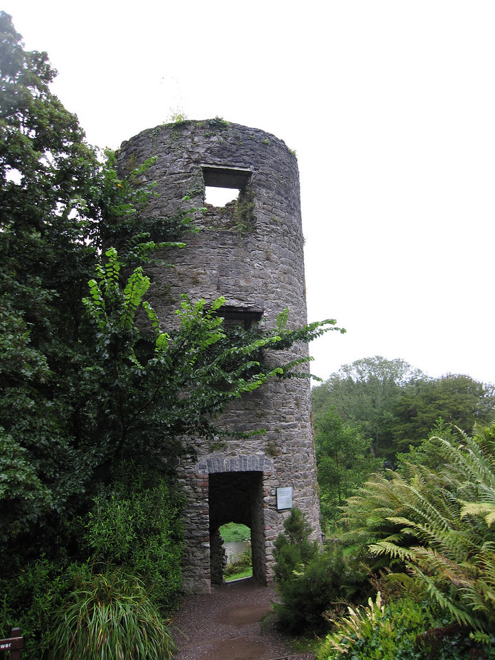 blarney castle grounds