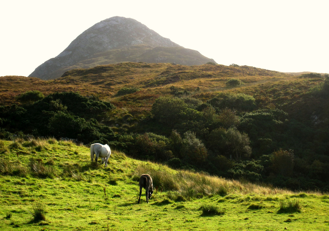 hiking the famous green landscape that you can read about in books about ireland