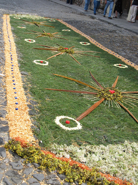 Semana Santa carpet made from pine needles