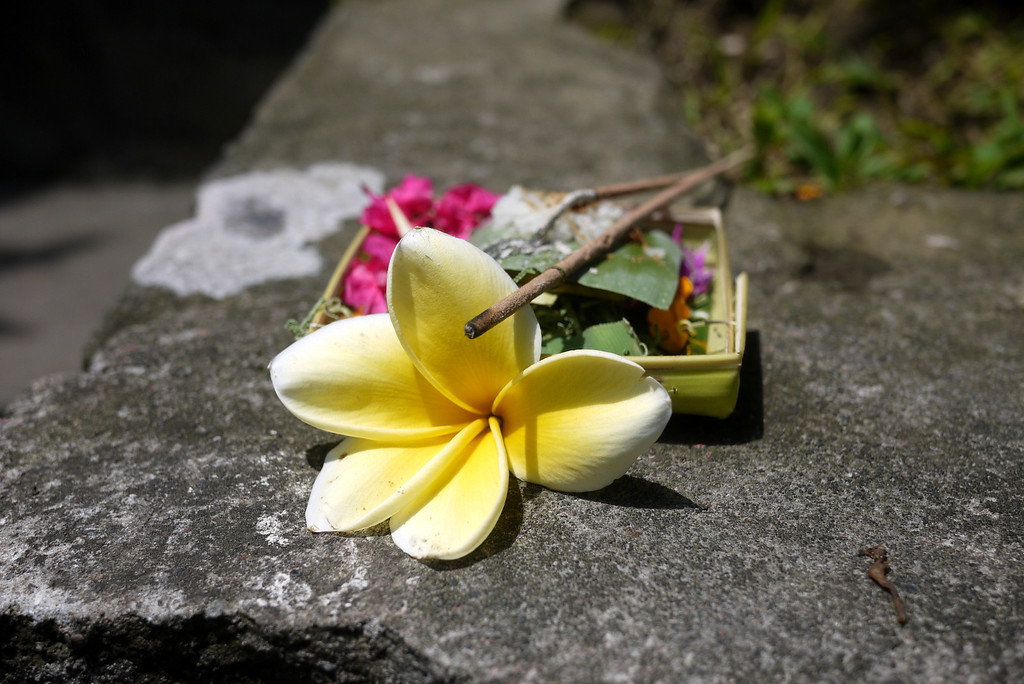 Curbside Balinese offering