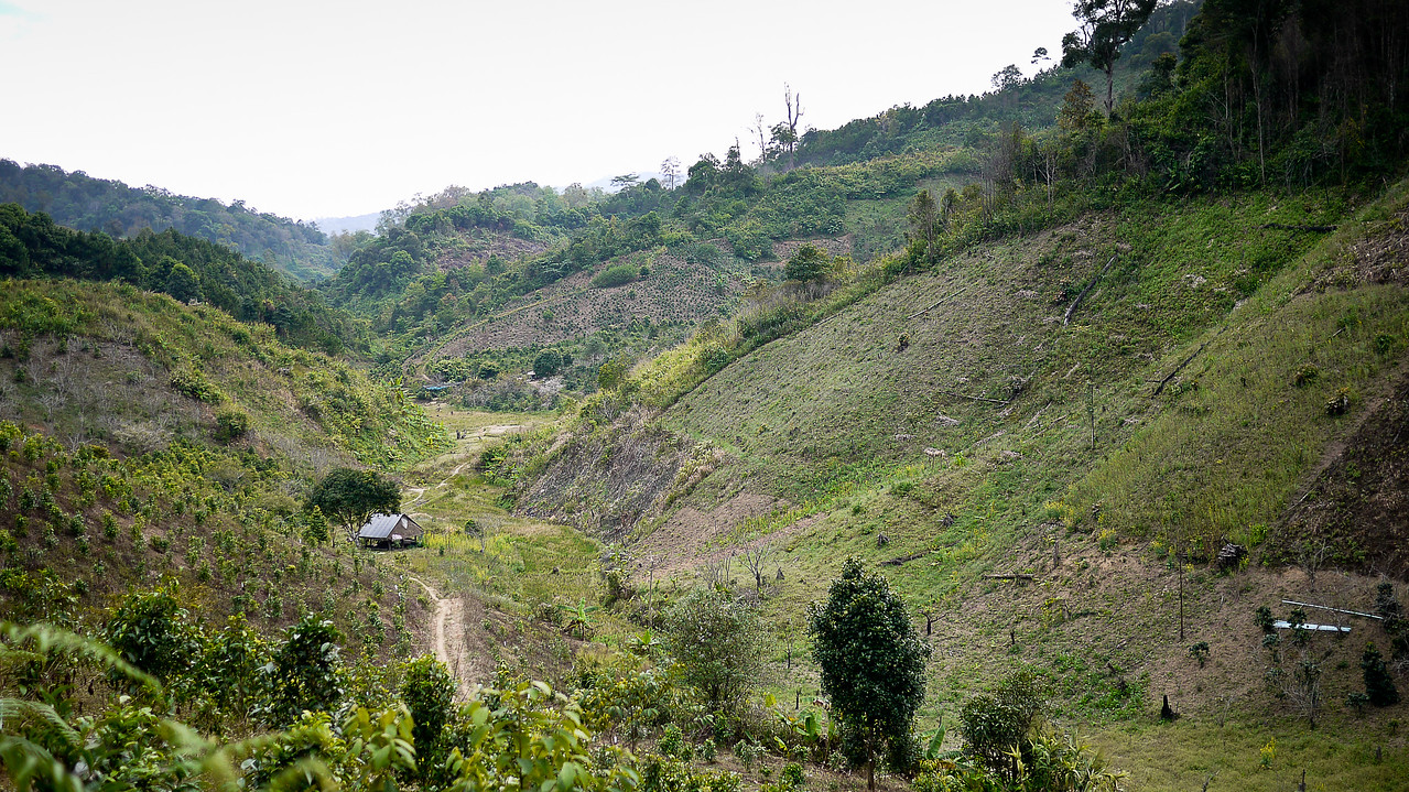 akha ama village
