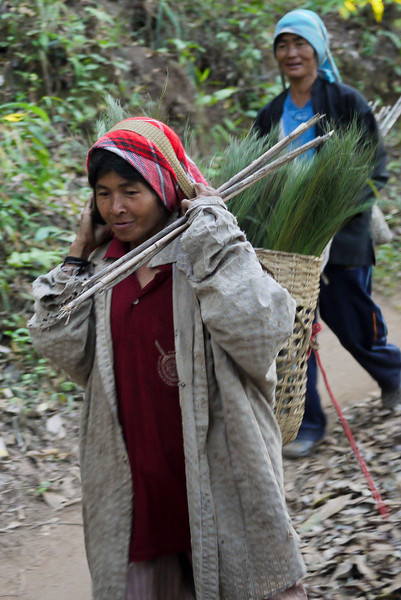 Woman returning from a day at work, Akha Ama coffee village near Chiang Mai, Thailand. Woman returning from a day at work, Akha Ama coffee village near Chiang Mai, Thailand.