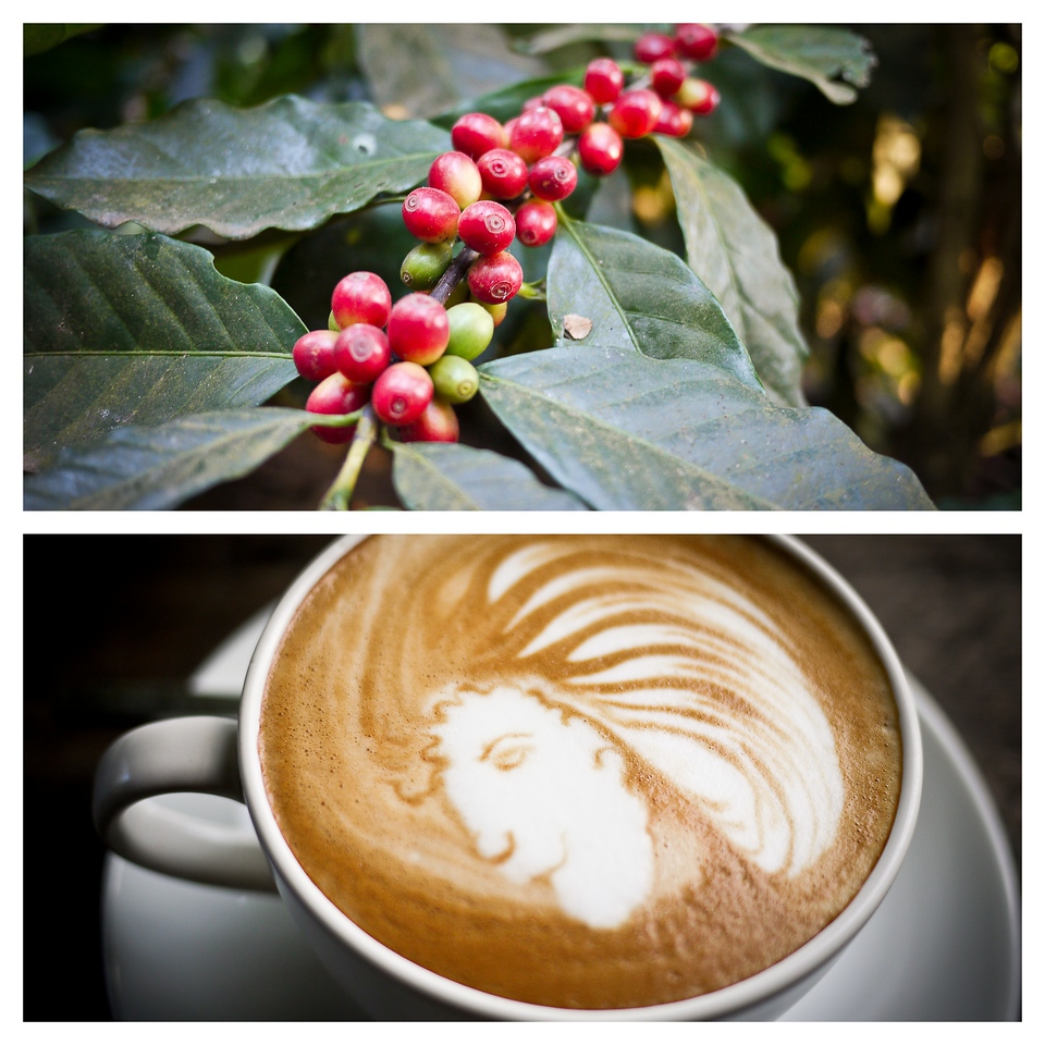coffee