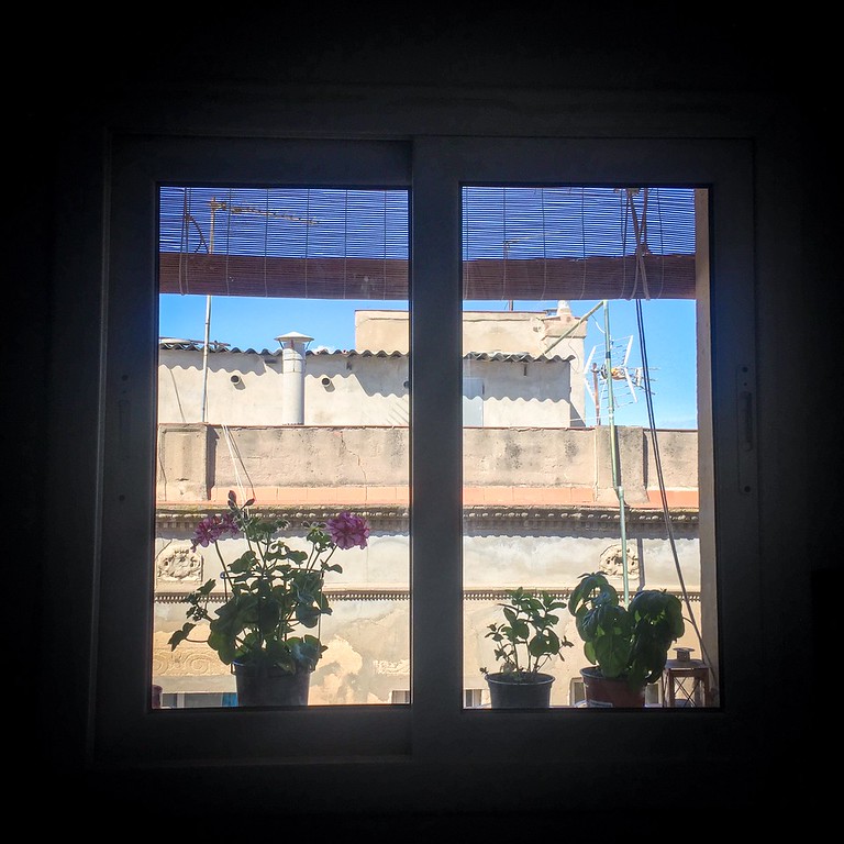 View of my kitchen windowsill and my growing garden — just a few herbs and a gardenia, but I plan to grow tomatoes and some other things too! window view from my house in Barcelona