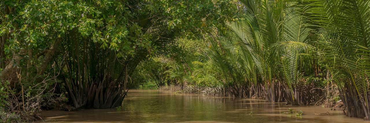 The backwaters of the Mekong Delta near Can Tho. Can Tho, Vietnam