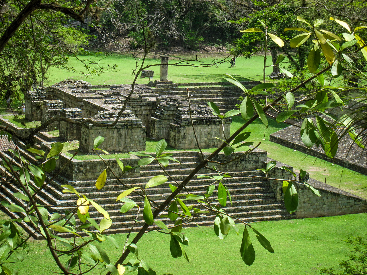 Copan ruins through the trees