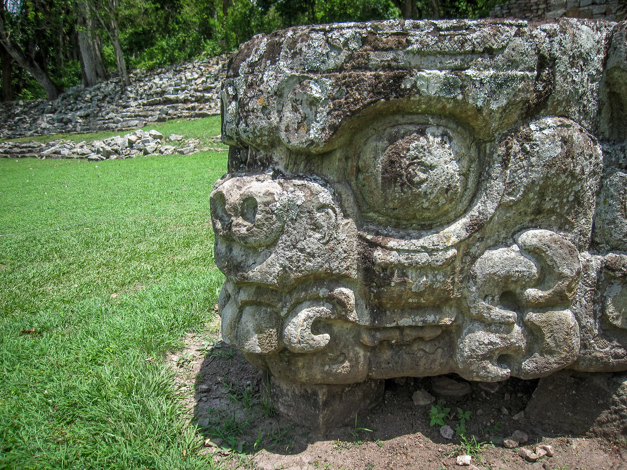 a carving at Copan ruins in Honduras