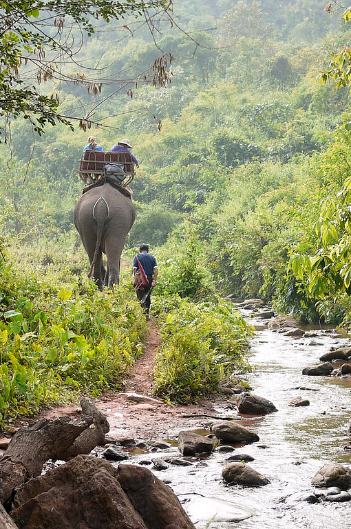 Jungles, rivers and rice paddies on a rural elephant trek in Laos. Jungles, rivers and rice paddies on a rural elephant trek in Laos.