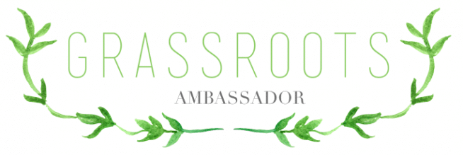 GV Ambassador