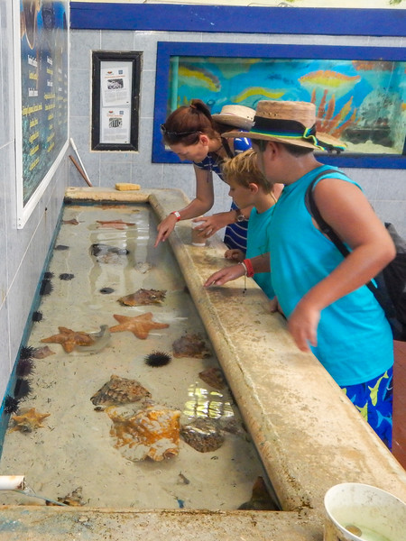 visiting isla mujeres turtle farm