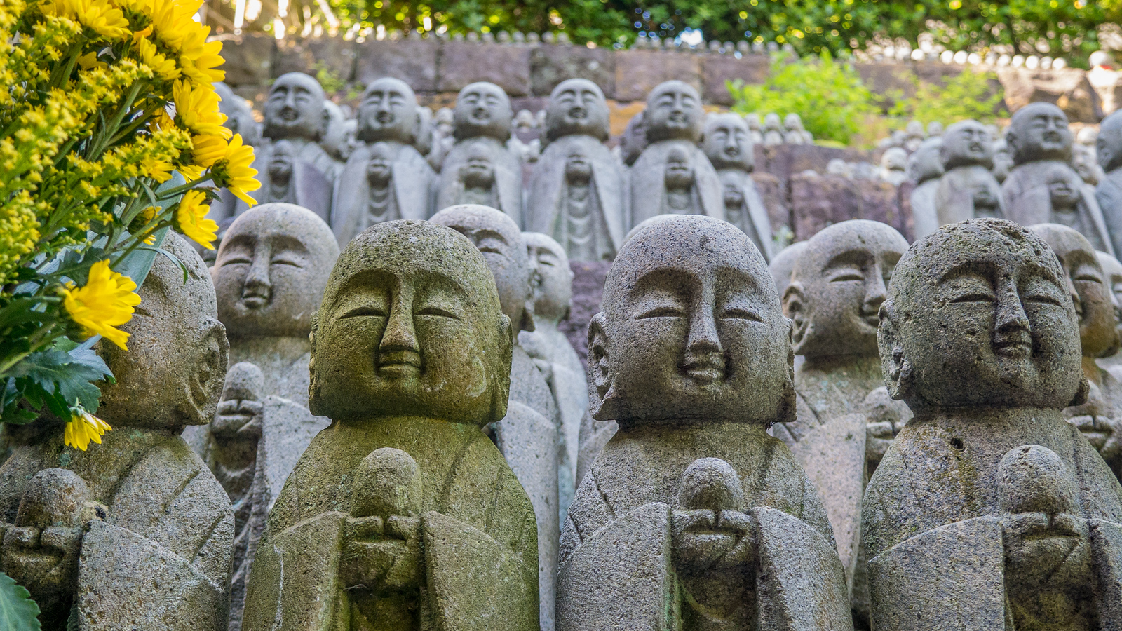 Hase-dera Temple in Kamakura, Japan Hase-dera Temple in Kamakura, Japan