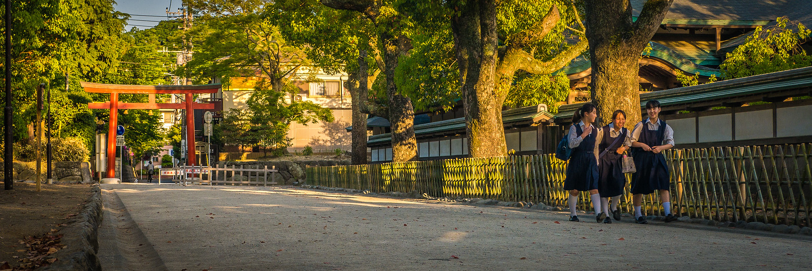 School girls return home after school and cut through the Tsurugaoka Hachiman-gū Temple on their way home. Tsurugaoka Hachiman-gū Temple