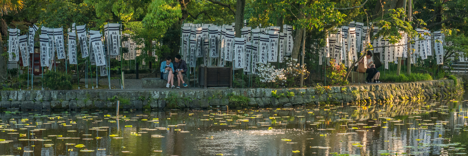 Sunset on the reflection pool Tsurugaoka Hachimangū. reflection pool Tsurugaoka Hachimangū shinto shrine