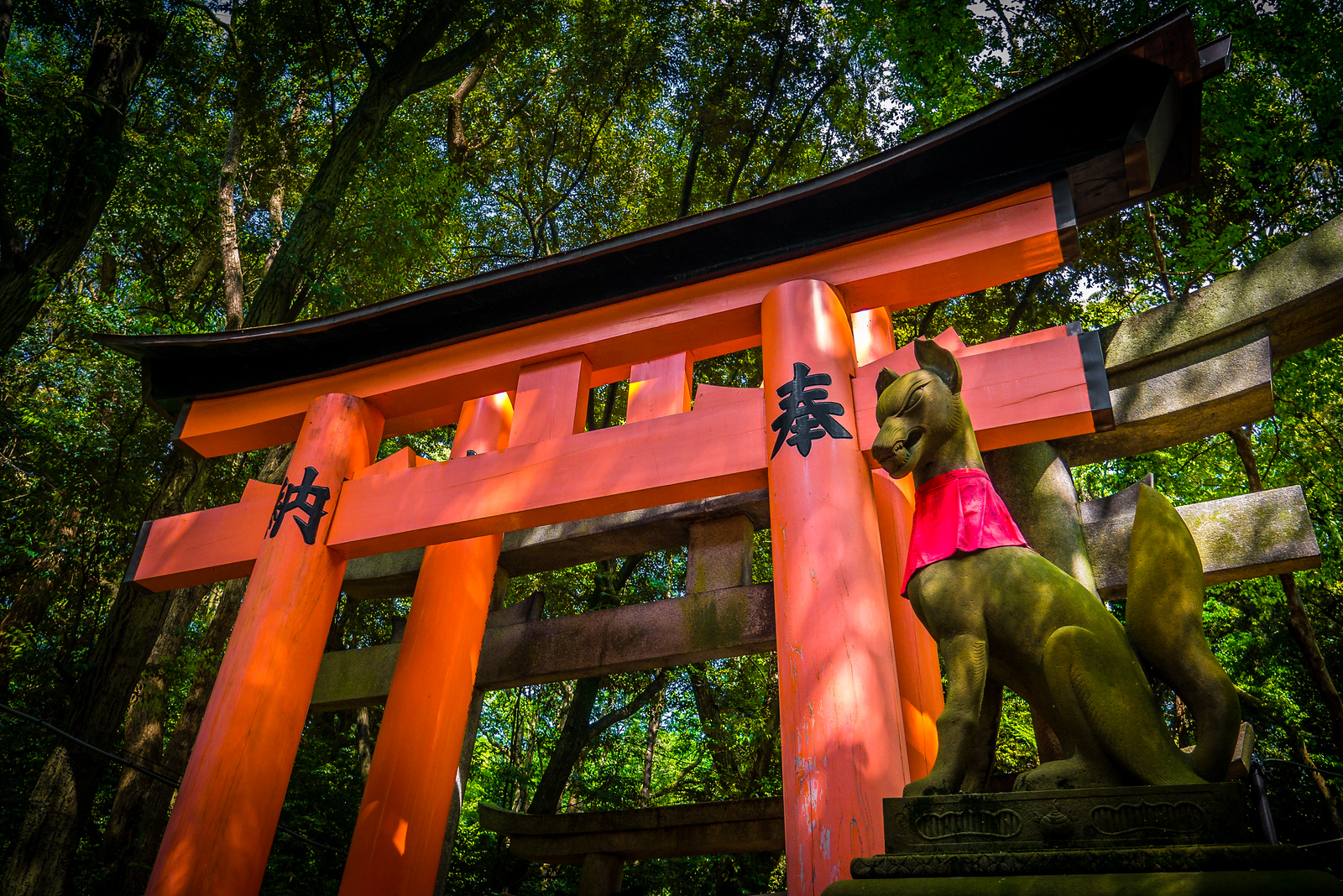 Orange torii gates at Fushimi Inari Shrine Orange torii gates at Fushimi Inari Shrine