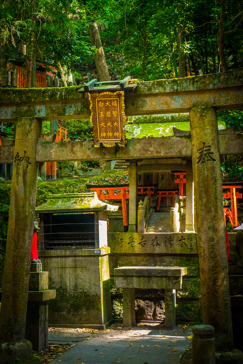 Many of the gates have been there for decades, donated to the shrine and then growing moss in the damp forest. torii gates at Fushimi Inari Shrine
