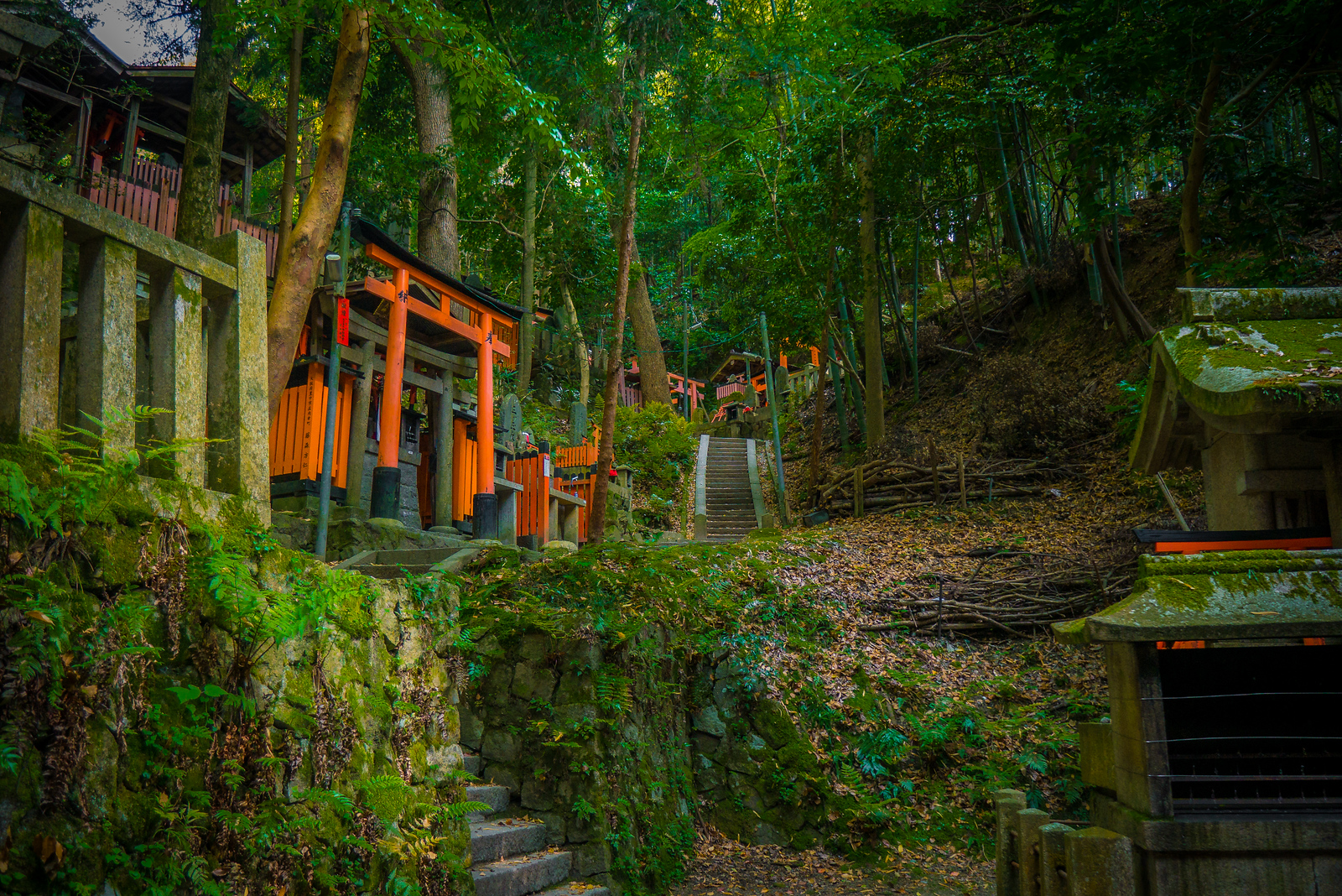 A wonderland of orange torii gates hidden in the forest and growing moss. garden Fushimi Inari Shrine