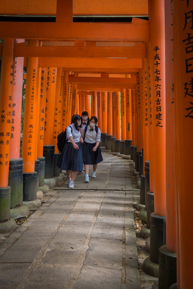 School girls walk through the iconic orange torii gates. School girls walk through the iconic orange torii gates Fushimi-Inari Shrine