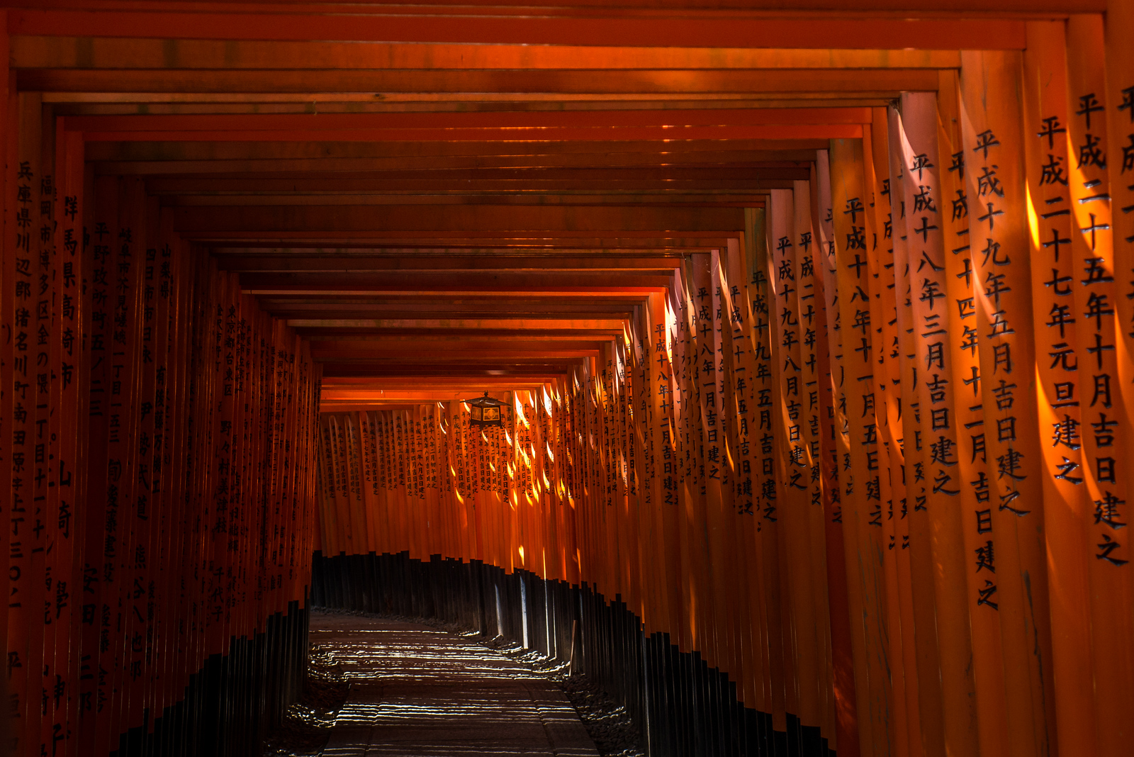 The beautiful orange gates at Fushimi Inari Taisha, a shrine in Kyoto. 伏見稲荷大社, Fushimi Inari Taisha