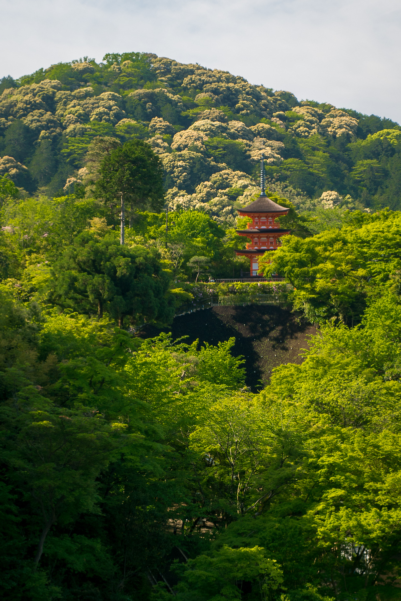 Views from the main balcony at the Kiyomizu-dera temple in Kyoto. From the main temple of the complex for Kiyomizu-dera, I spotted this mini orange beacon almost the green. It was a hot day, so I welcomed the chance to follow paths through the forest until I found the temple and had a great view of the city and sat for a bit to take in the cool breeze and hum of traffic below. Views from the main balcony Kiyomizu-dera temple
