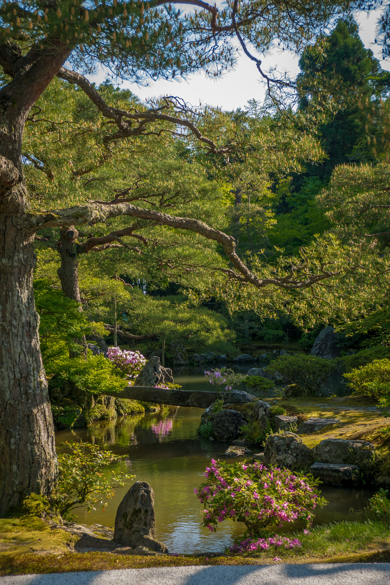 The pretty gardens at Ginkaku-ji Temple. Ginkaku-ji Temple gardens