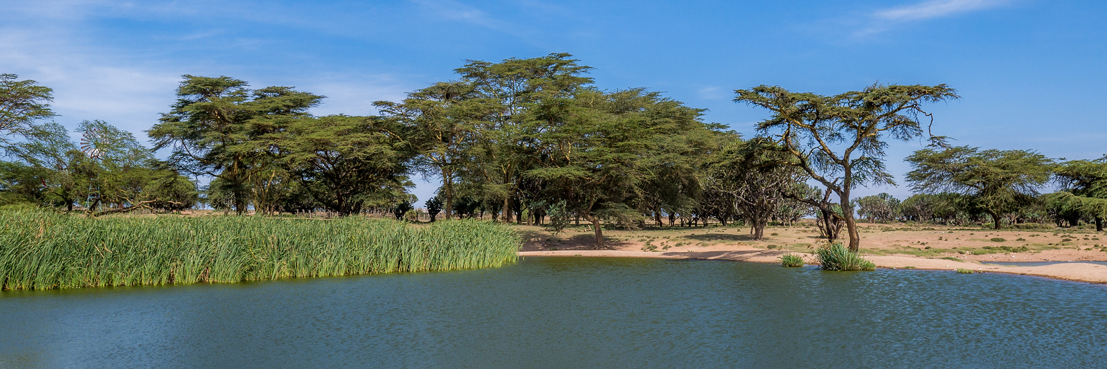 A beautiful lake at the Maji Moto Maasai settlement outside of Narok, Kenya. It's very near to the Maasai Mara National Park, and the topography and views are similar. The lake near Maji Moto, Kenya.