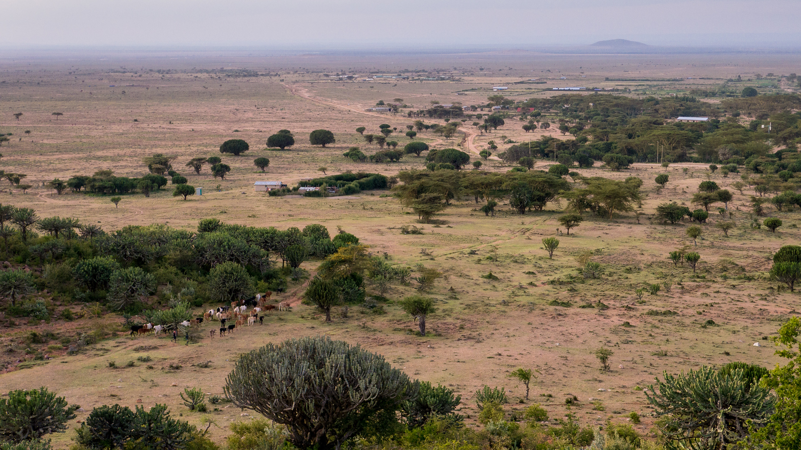 The dry, shrubby plains outside of Narok, Kenya. The rains hadn't yet arrived, so everything was very dusty and dry. Maji Moto Cultural Camp