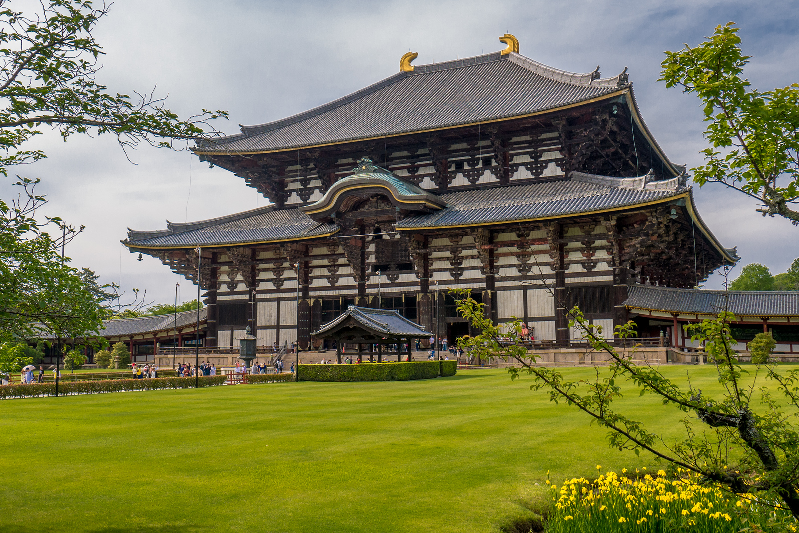 Todai-ji is one of the world's largest wooden buildings; parts of it date back to 728. This is perhaps my favorite of the dozens of temples I've visited here in Japan. Todai-ji