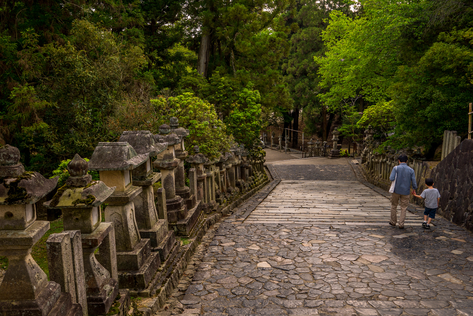 Leaving the Kasuga-taisha Shrine Kasuga-taisha Shrine