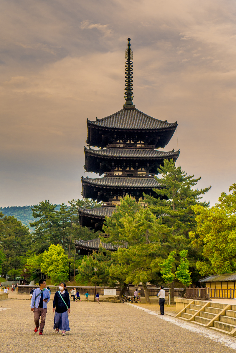Sunset overlooking Kofuku-ji Temple sunset Kofuku-ji Temple