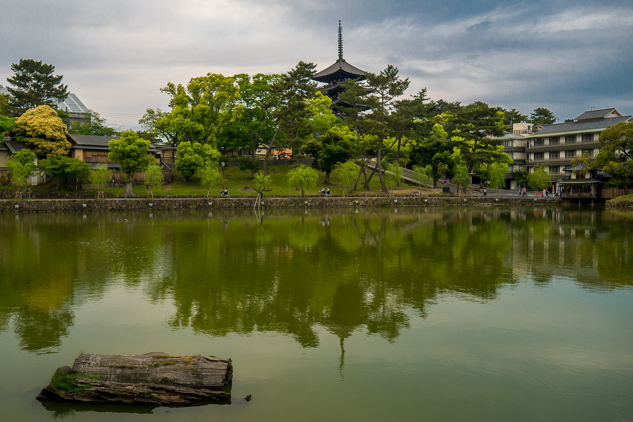 Reflections of Kofuku-ji Temple on Sarusawa-no-ike Pond