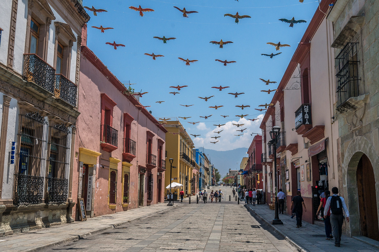 stay in the oaxaca city center during your visit