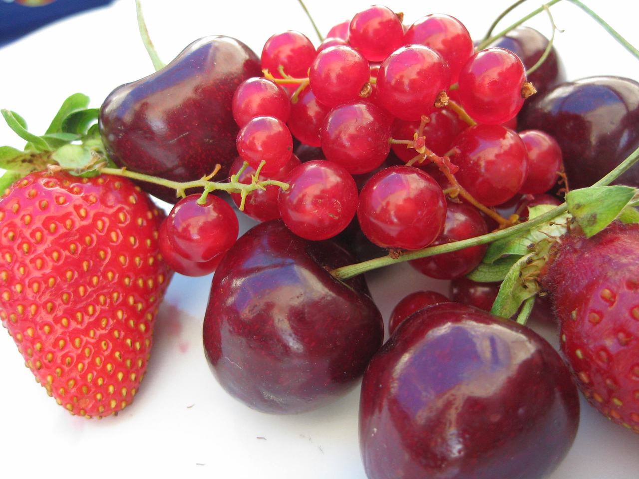 vegetarian food in Ljubljana, currants, strawberries and cherries
