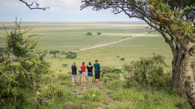 The Danes looking out over the vast plains of the Serengeti seregeti outlook
