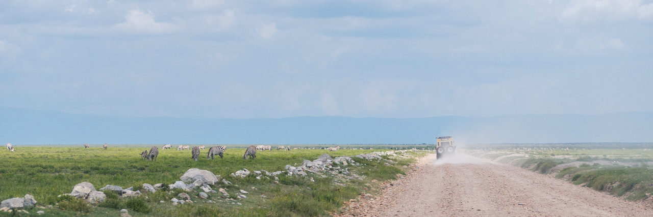 On the long stretch of road leading into the Serengeti National Park. the serengeti