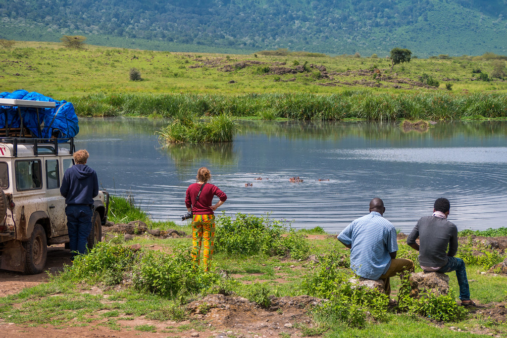 Watching the hippos t the Ngoitokitok Spring for our picnic lunch at the Ngorongoro Crater. Ngoitokitok Spring hippos