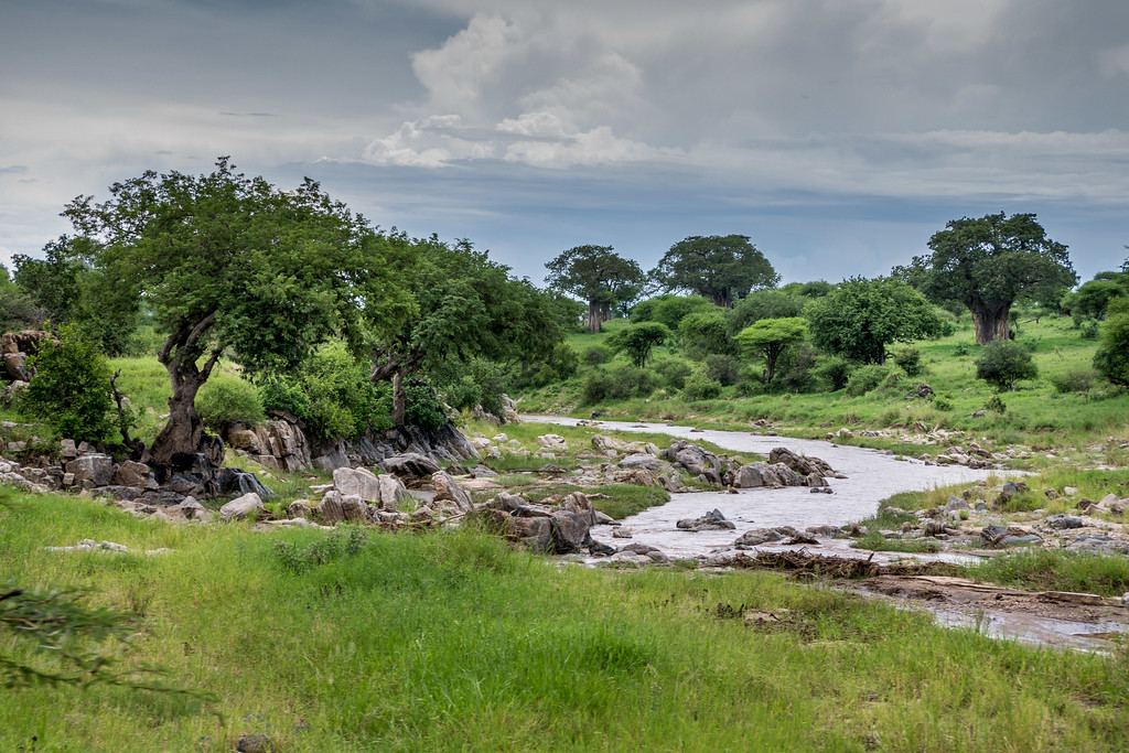 River running through the Serengeti River