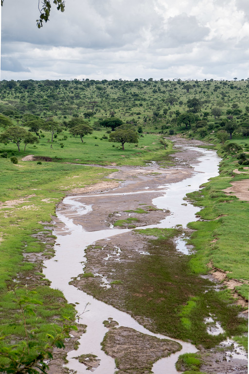 Serengeti river near our lunch spot on Day Two of the safari Serengeti river