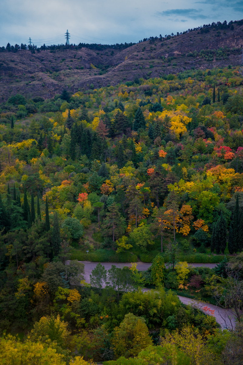 Autumn colors in the mountains and hills around Tbilisi, Georgia Views of the fall colors in Georgia