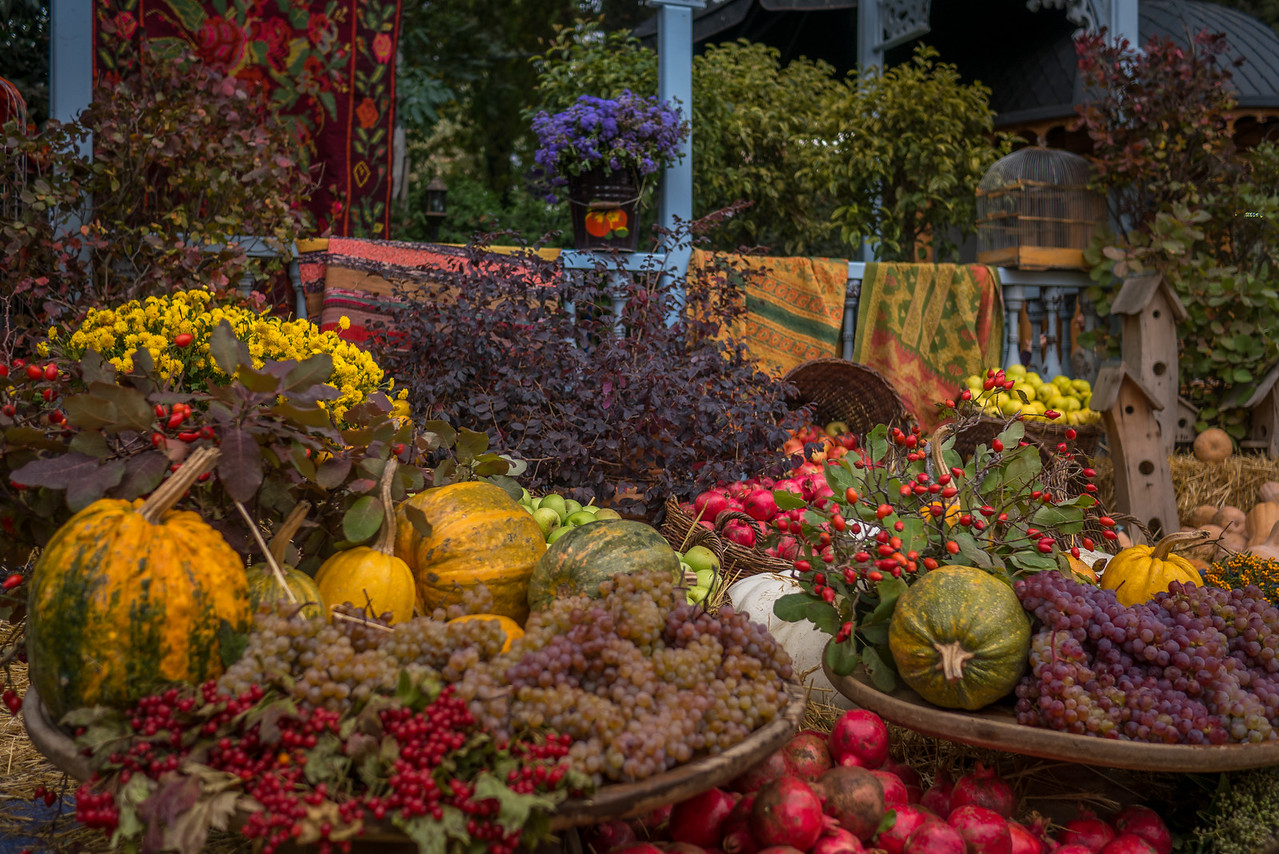 Fall harvest season in the Republic of Georgia.