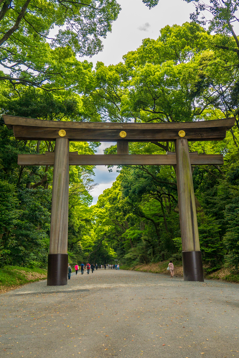 Yoyogi Park Torii Gate to enter Meiji Shrine (明治神宮) Yoyogi Park Torii Gate to enter Meiji Shrine 明治神宮