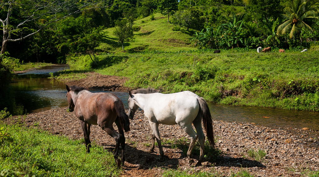 Gorgeous rolling hills and land we trekked over for our waterfall hike from Silico Creek, Panama.