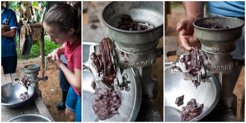 Tasting raw cacao