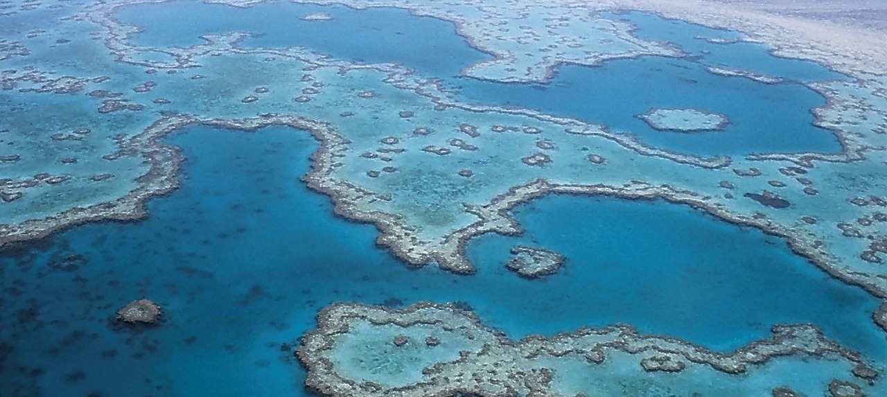 Aerial shot of the Great Barrier Reef