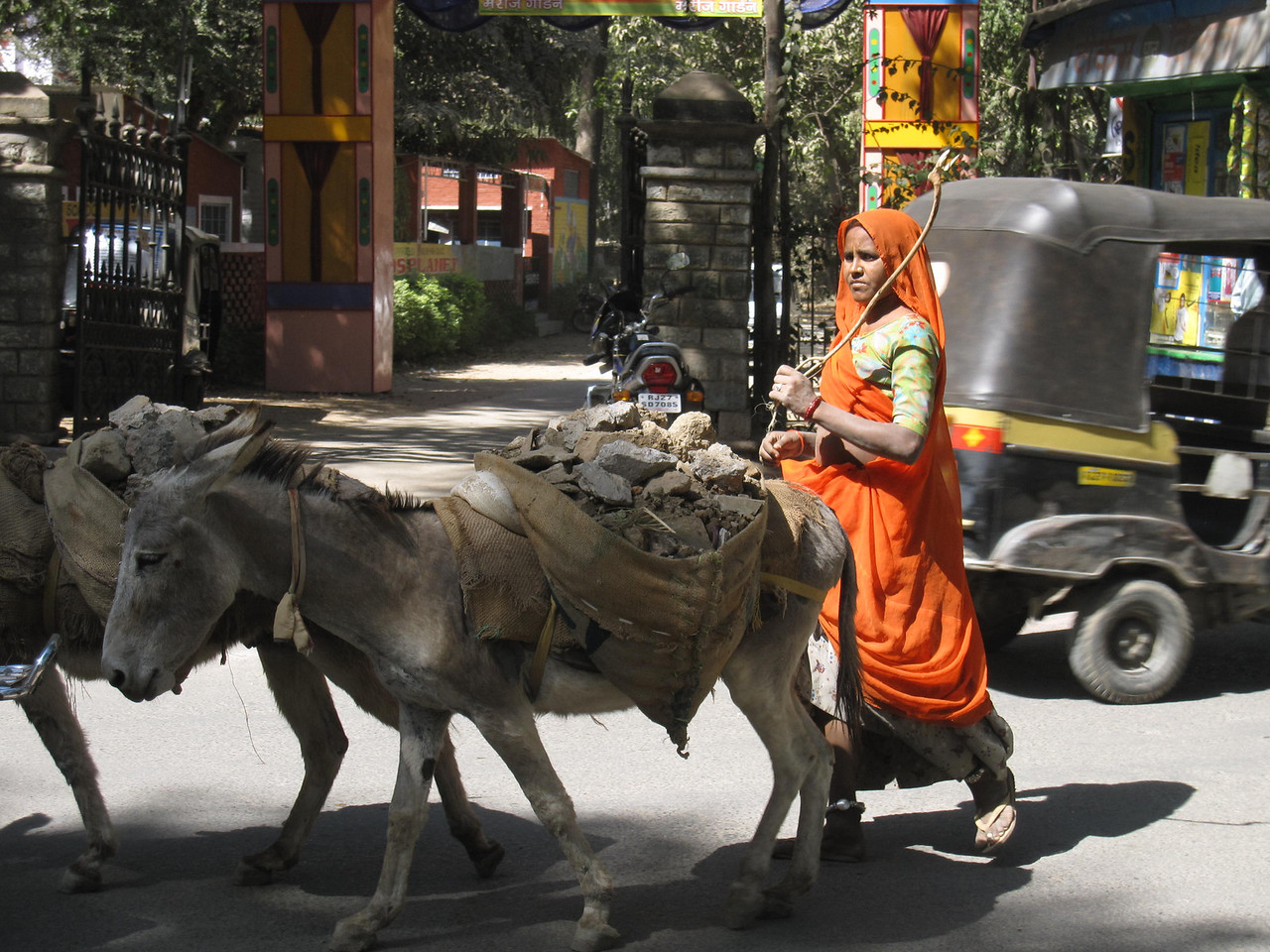 donkey hauling rubble in kathmandu street
